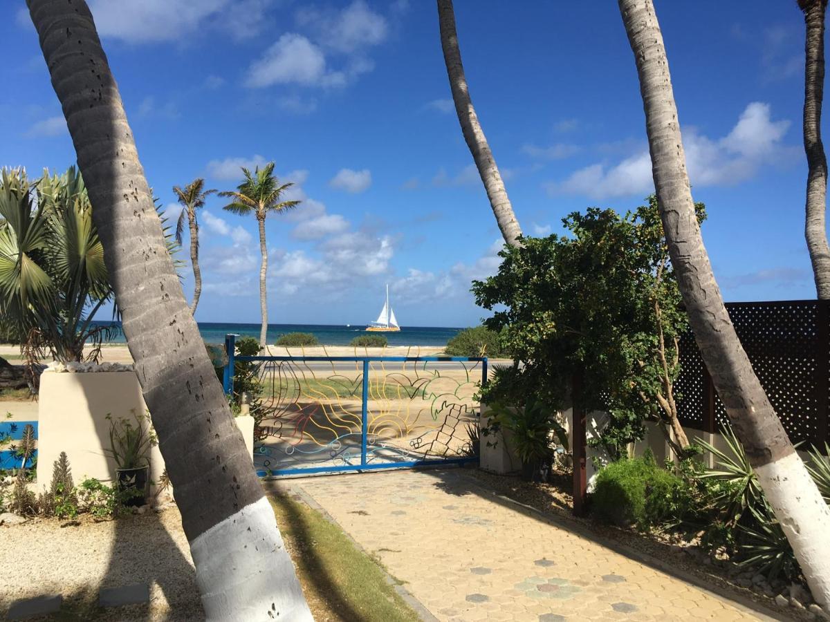 Aruba Sunset Beach Studios Palm Beach Kültér fotó