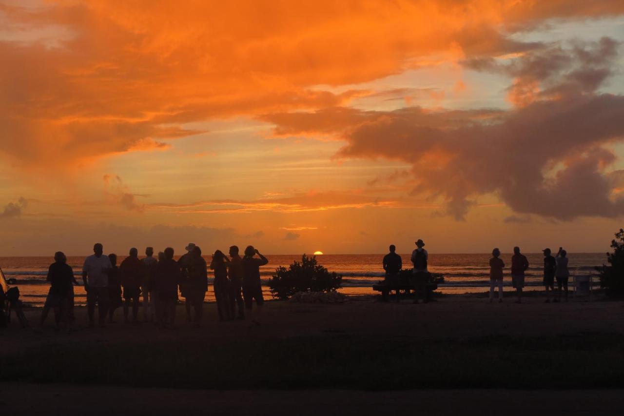 Aruba Sunset Beach Studios Palm Beach Kültér fotó