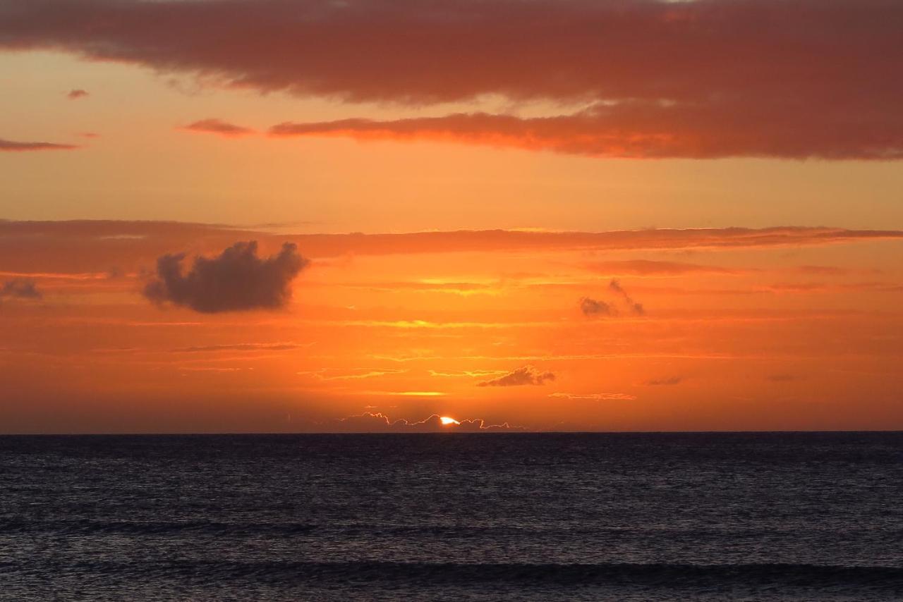 Aruba Sunset Beach Studios Palm Beach Kültér fotó
