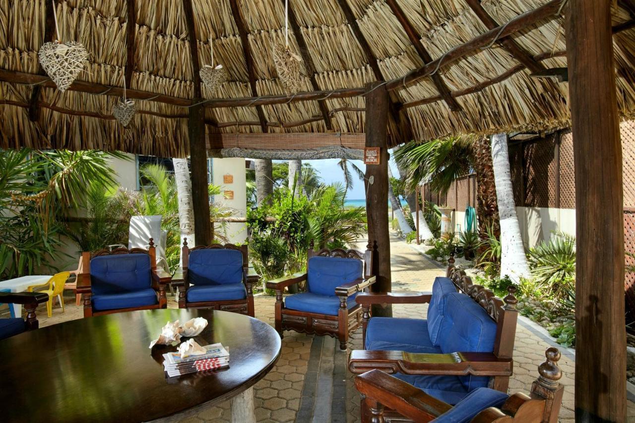 Aruba Sunset Beach Studios Palm Beach Kültér fotó