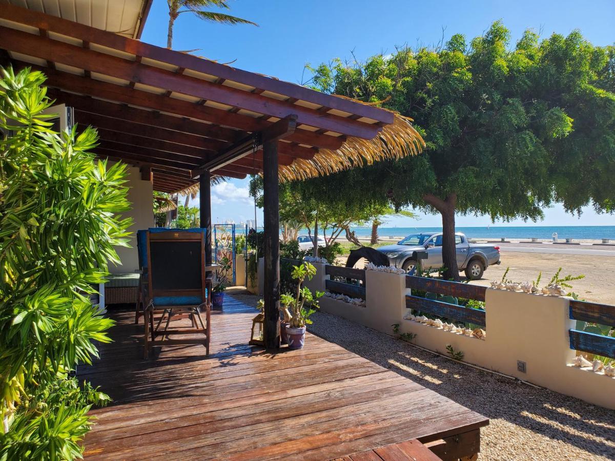 Aruba Sunset Beach Studios Palm Beach Kültér fotó