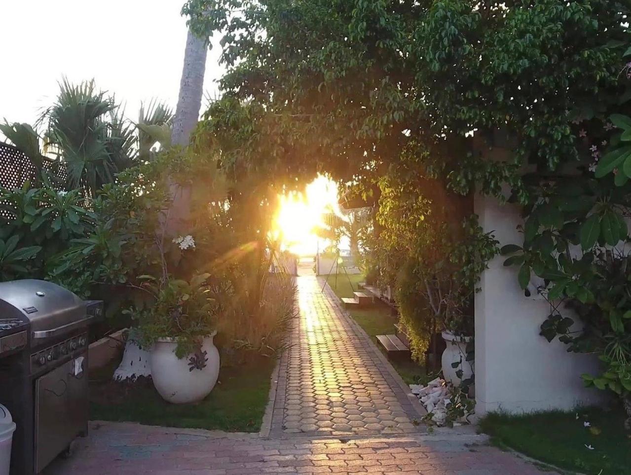 Aruba Sunset Beach Studios Palm Beach Kültér fotó