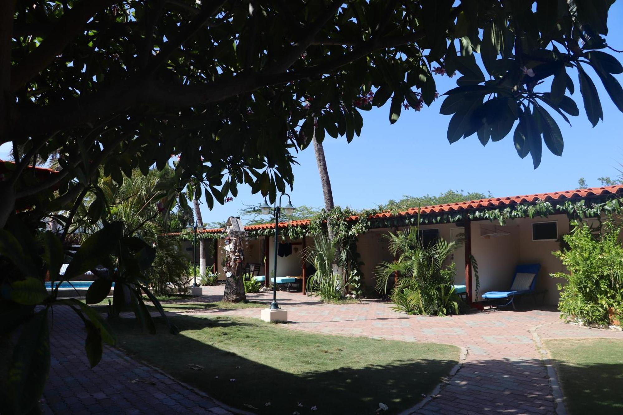 Aruba Sunset Beach Studios Palm Beach Kültér fotó